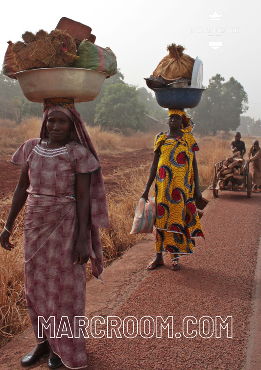 Climate change in Africa