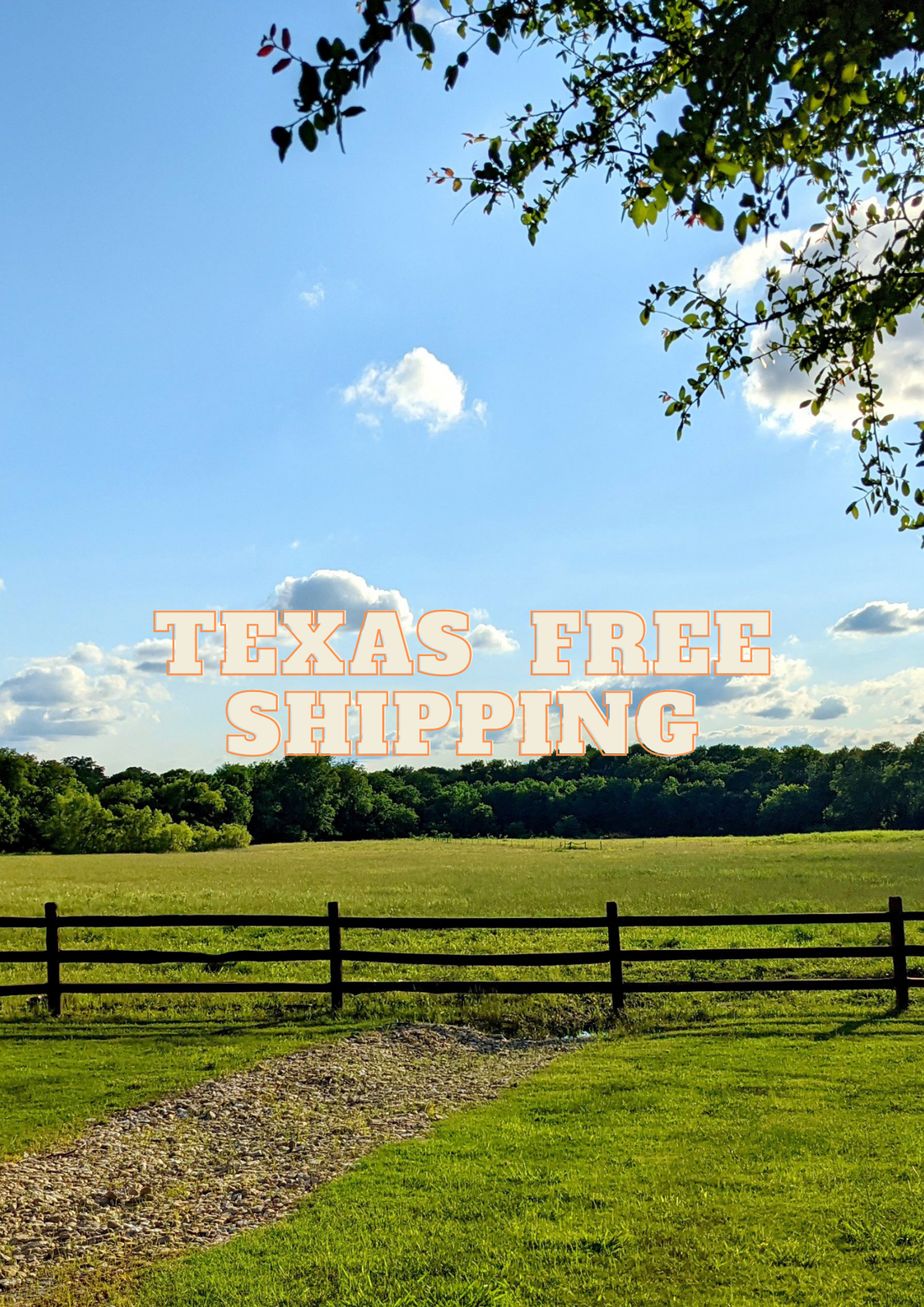 Men's Dress Shoes  From $20 With Free Shipping To Texas