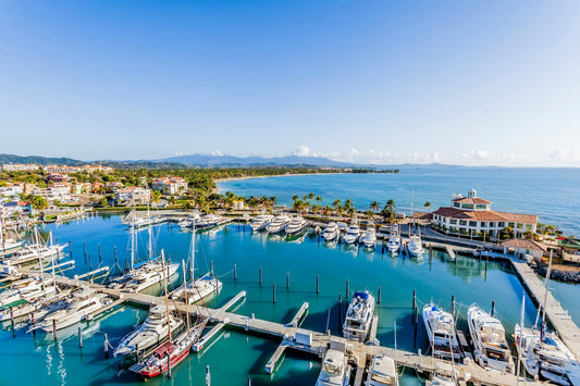 TOP 10 Social Clubs in Puerto Rico