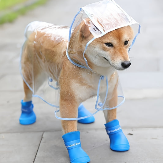 image0