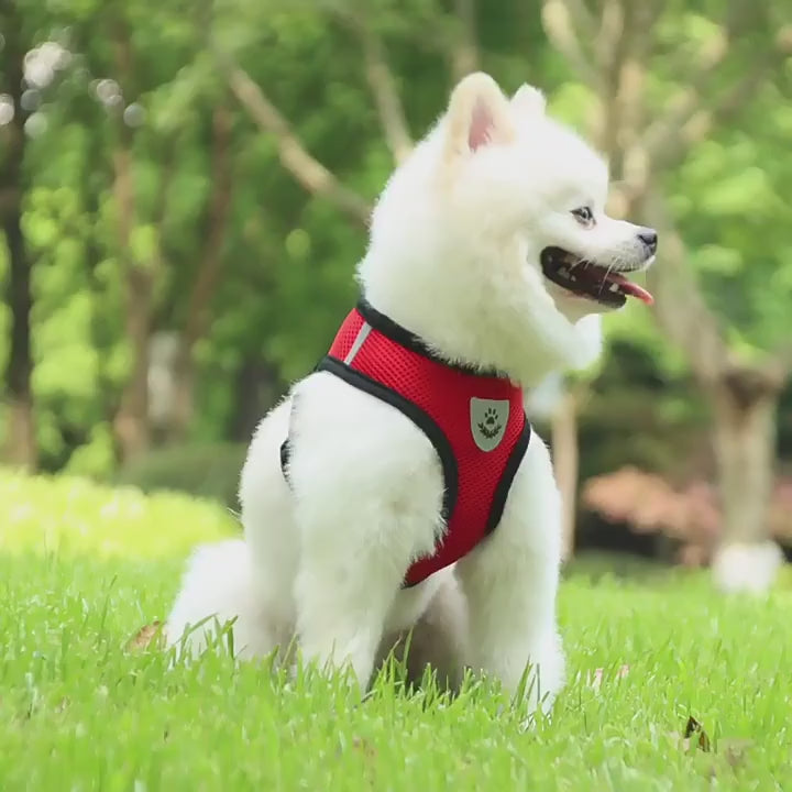 Reflective Pet Harness And Leash Set For Dogs And Cats Adjustable Puppy Cat Vest Harness With Soft Mesh